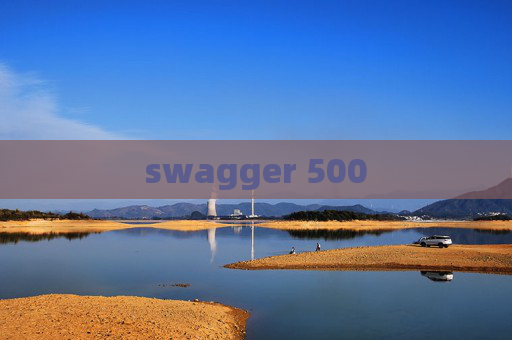 swagger 500