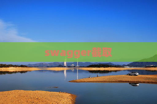 swagger截取